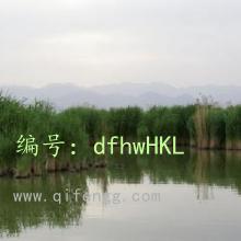 ҵ