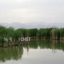 ҵ