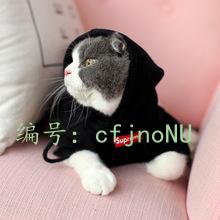 Ҿ