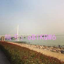 ޿