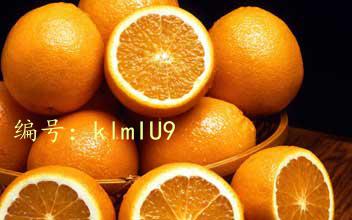 Ŭ