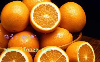Ŭ
