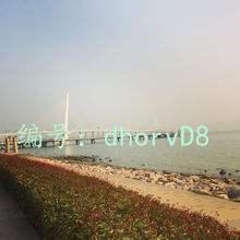 ޿