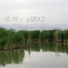 Ŀ