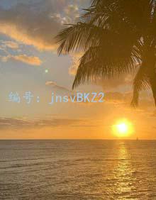 ҵ