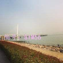 ˲