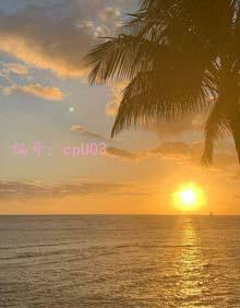 ҵ