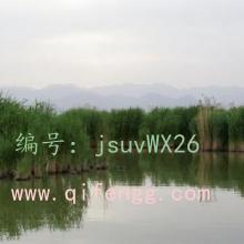 ҵ