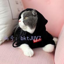 ޿