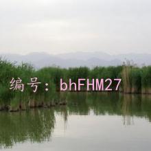 Ŀ