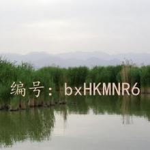 Ͻ