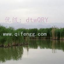 λ