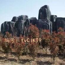 λ
