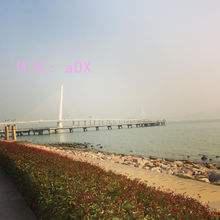 ׶