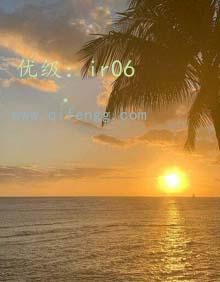 ҵ
