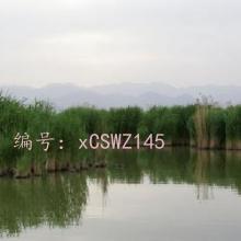 ҵ