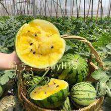 ޿
